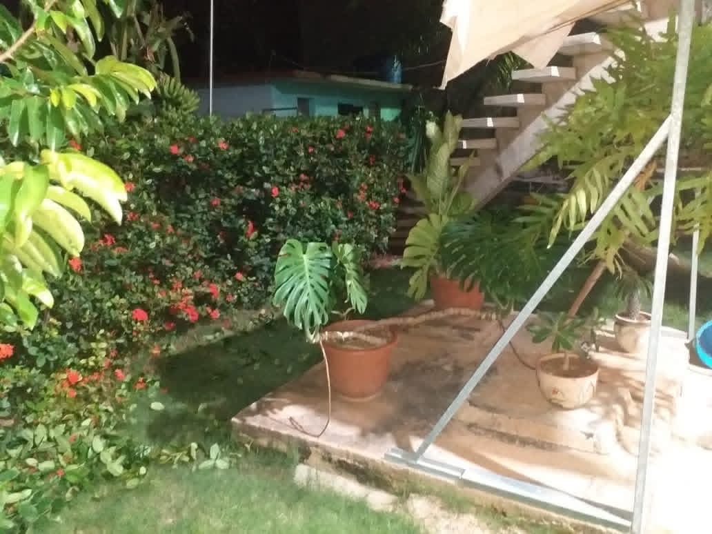 Casa de 6 habitaciones 4 baños dos cocinas dos garajes y terreno con árboles frutales — foto 8