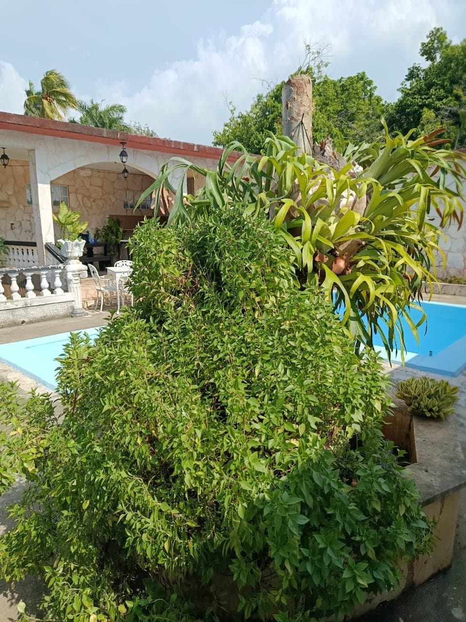 Finca de 10.78 hectáreas en Aguacate, Caimito, Artemisa — foto 10