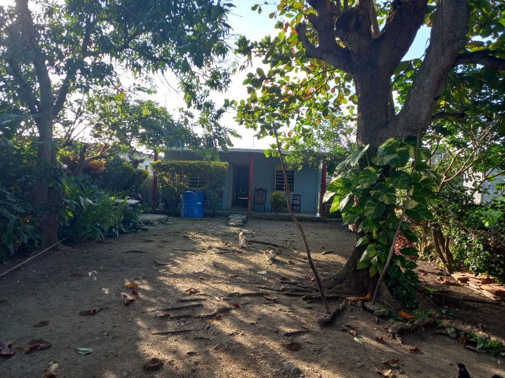Casa con finca de 3 habitaciones en San José de Las Lajas,Mayabeque — foto 9