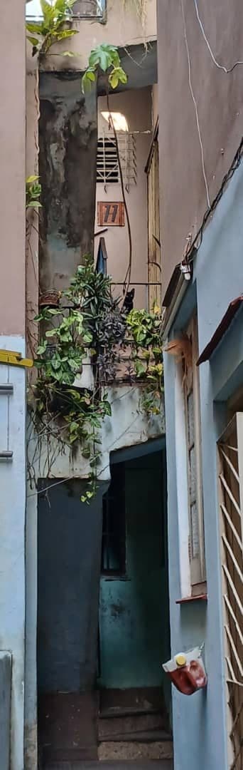 Apartamento en Centro Habana — foto 7