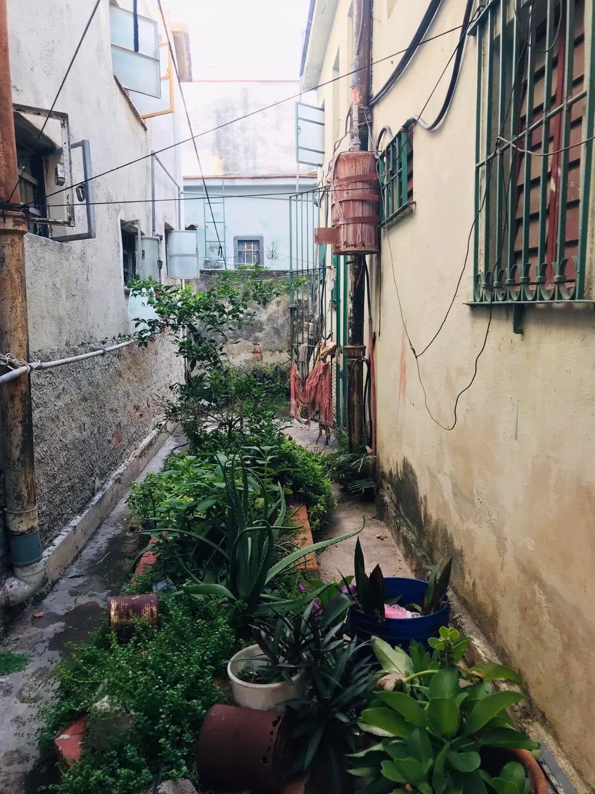 Casa independiente en Marianao, puerta de calle. — foto 10