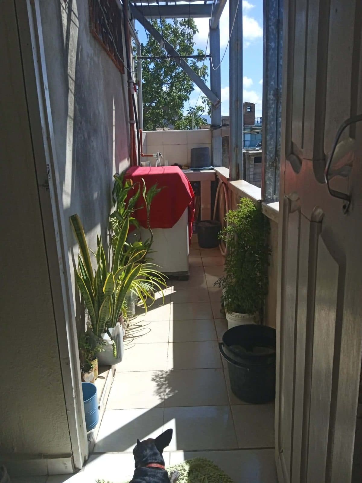 Casa de 2 habitaciones en Escario — foto 7
