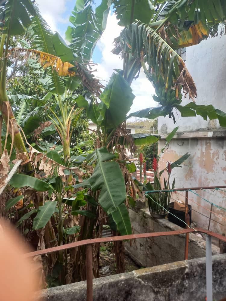🏡EN VENTA BIPLANTA GUABABACOA RPTO NARANJO — foto 8