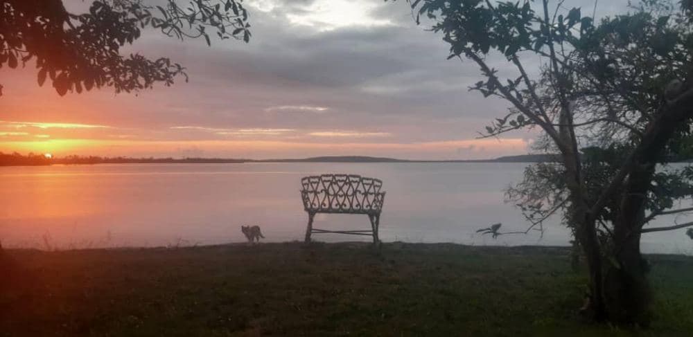 🏝️ OPORTUNIDAD ÚNICA – Venta de Propiedad en Bahía Cabaña — foto 6