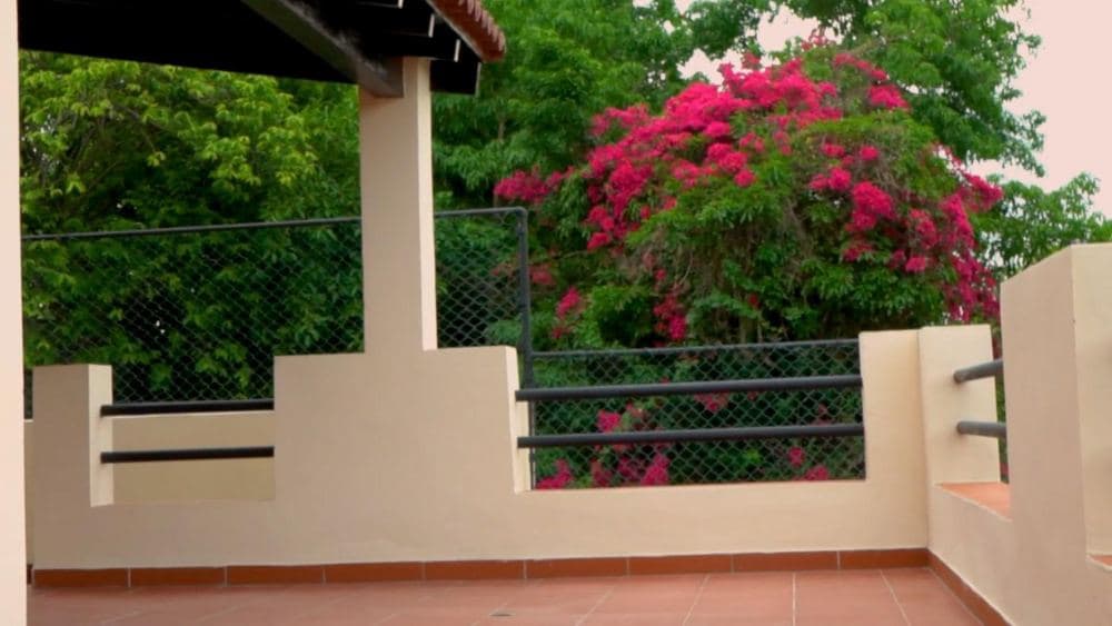 🏡 Casa en Venta y Renta 📍 Zona de Letras – Vedado — foto 10