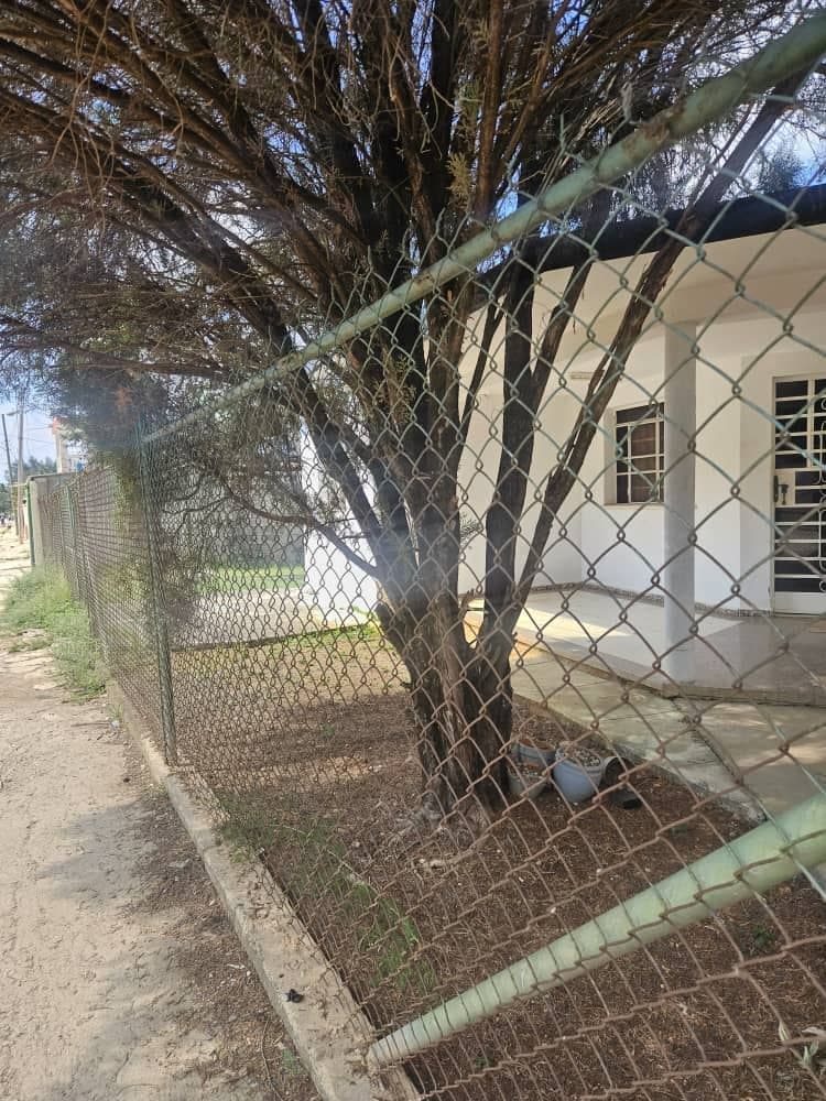 🏡 Casa totalmente independiente – Panamericana — foto 8